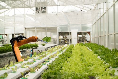 农业将为高科技行业 农业机器人的应用领域
